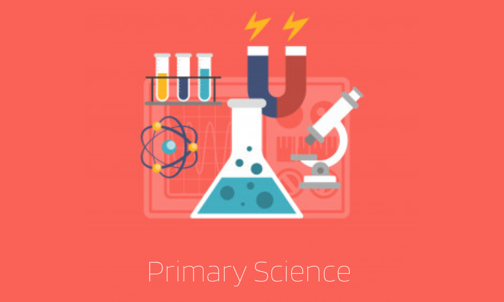 Primary Science including human biology