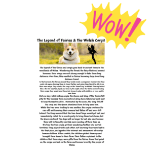Image showing the word wow and a picture of a brown and white corgi dog followed by a type written story.