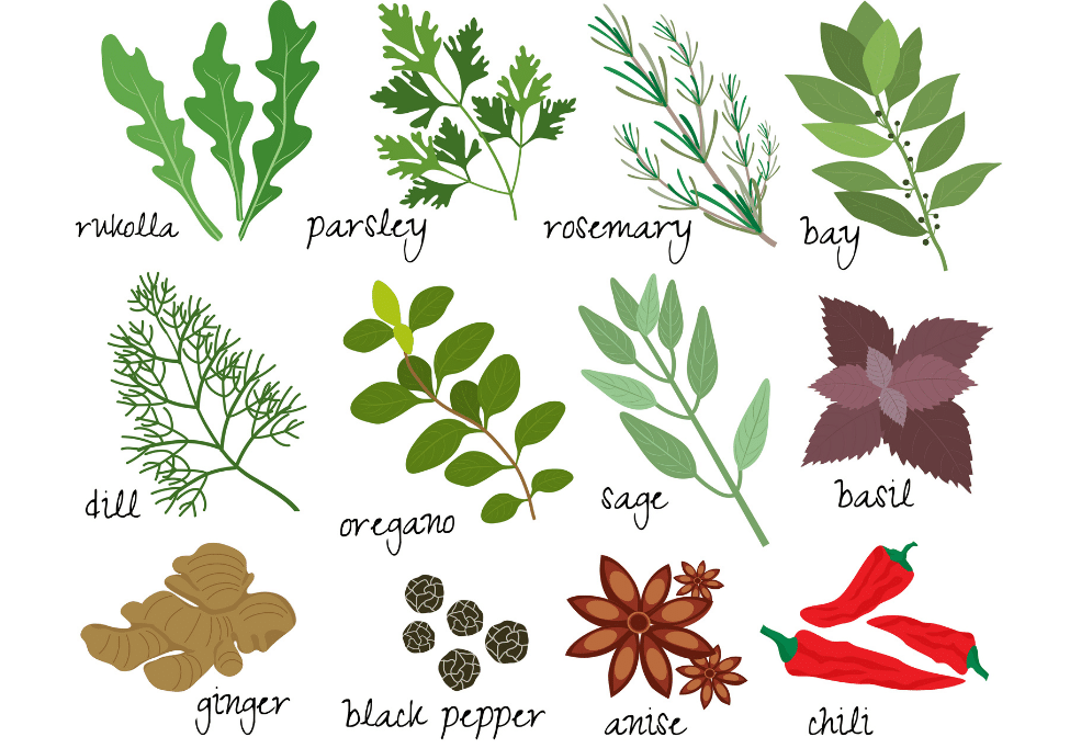 herbology-1.png